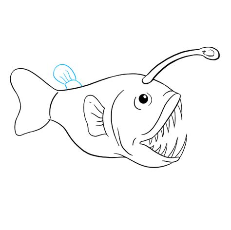 angler fish easy drawing|Angler Fish Drawing .